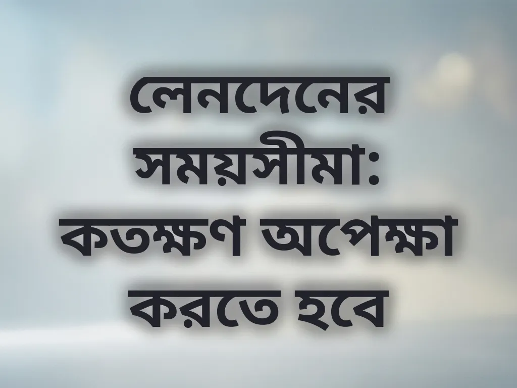 লেনদেনের সময়সীমা